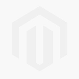 INTERFACE LEONARDO/GIOTTO