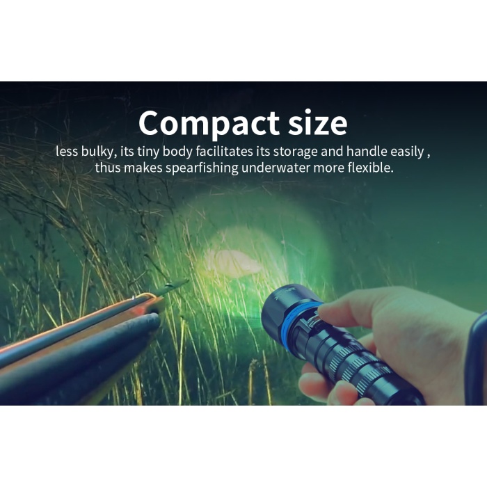 XTAR DS1 1000 lumen Dive Light