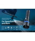 XTAR DS1 1000 lumen Dive Light