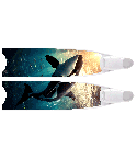 Limited Edition Orca Bi-Fins 2024-03-Orca-fins €185.00